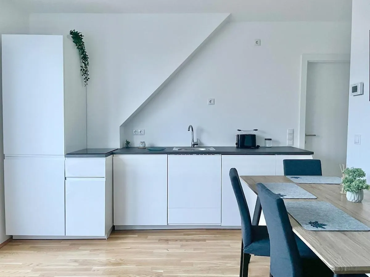 Rooftop Modern Apartment With Free Parking Vienna